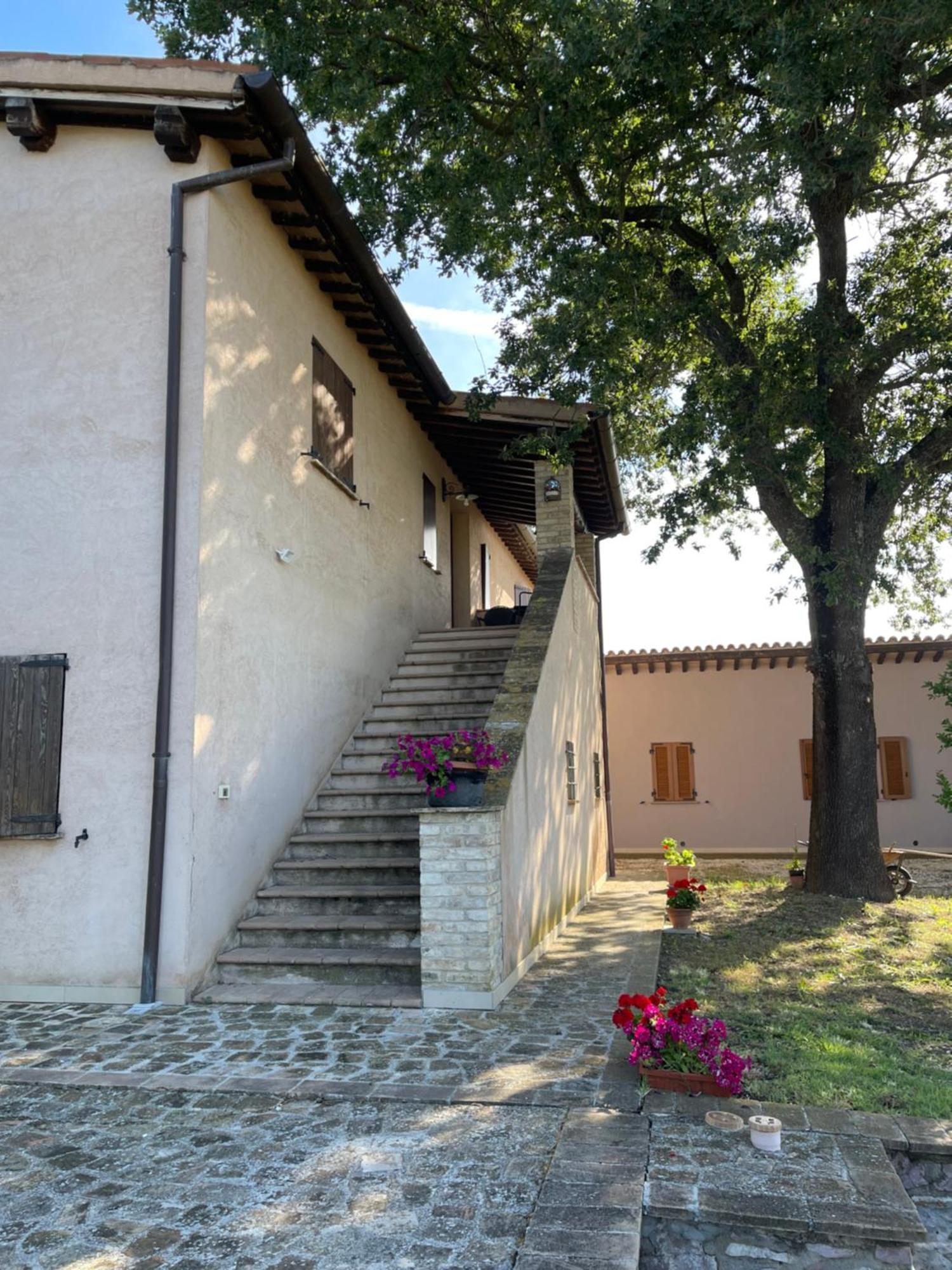Le Ghiande Guest House Spello Eksteriør bilde