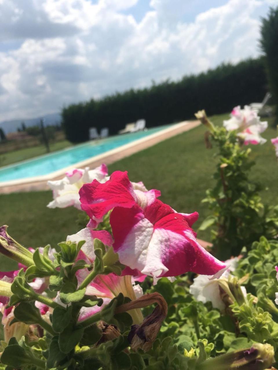 Le Ghiande Guest House Spello Eksteriør bilde